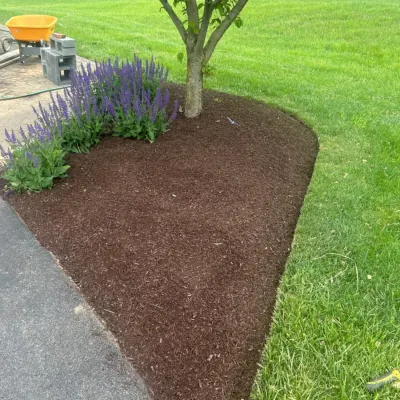 Our Works-12