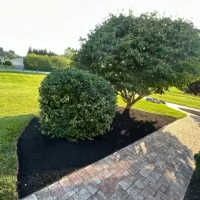 Our Works-2
